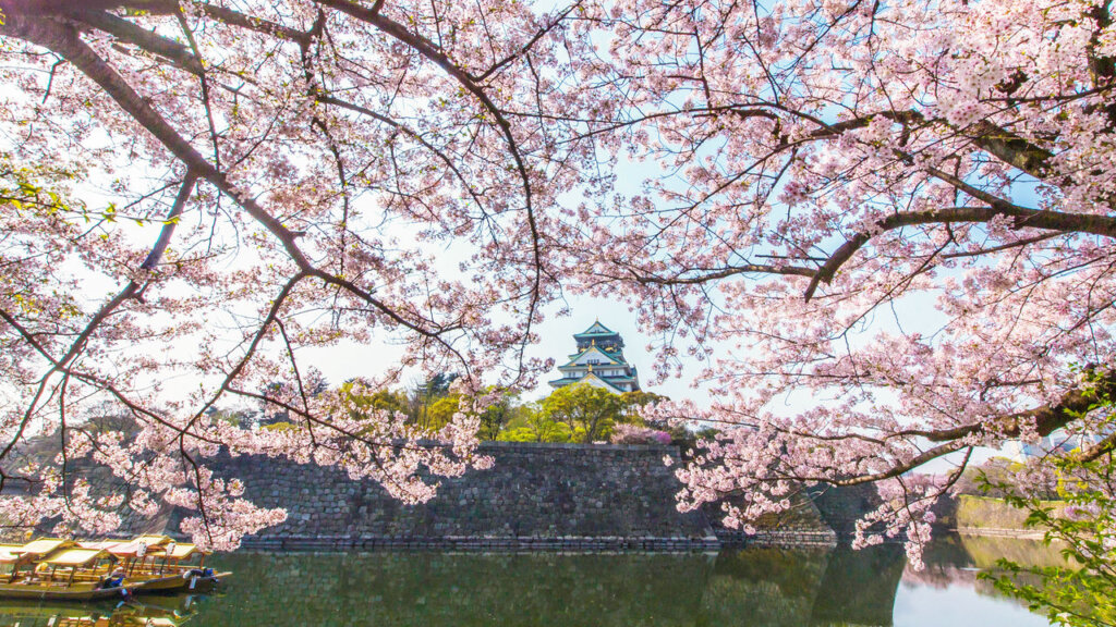 01大阪城公園_満開の桜と天守閣
